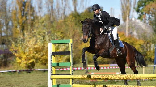 Equestrian Sports. Global Champions League. Monaco